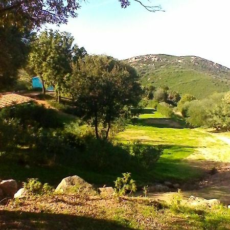 Farm Stay Gli Oleandri Loiri Porto San Paolo エクステリア 写真