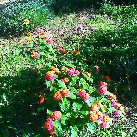 Farm Stay Gli Oleandri Loiri Porto San Paolo エクステリア 写真