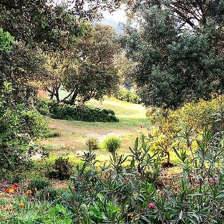 Farm Stay Gli Oleandri Loiri Porto San Paolo エクステリア 写真