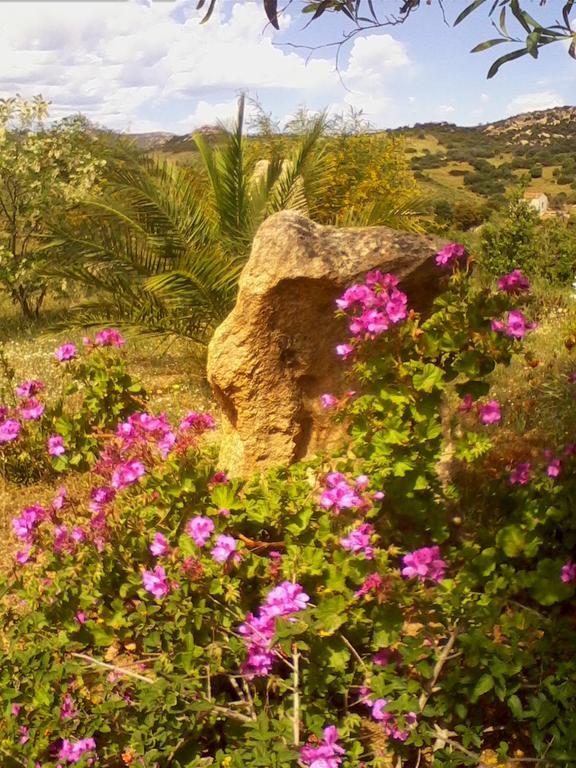 Farm Stay Gli Oleandri Loiri Porto San Paolo エクステリア 写真