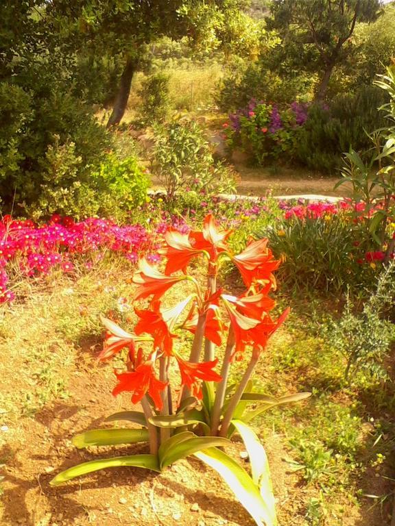 Farm Stay Gli Oleandri Loiri Porto San Paolo エクステリア 写真