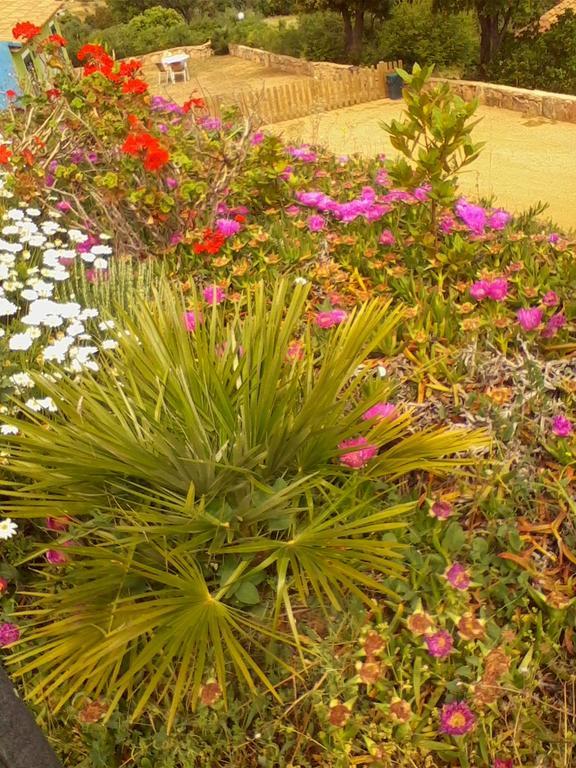 Farm Stay Gli Oleandri Loiri Porto San Paolo エクステリア 写真