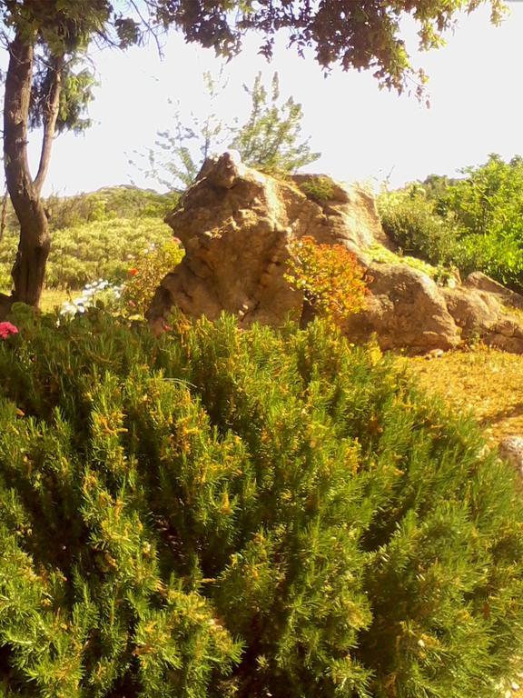 Farm Stay Gli Oleandri Loiri Porto San Paolo エクステリア 写真