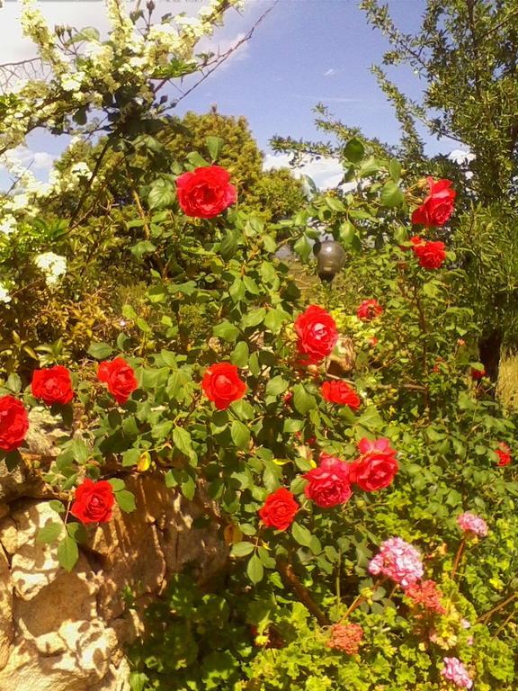 Farm Stay Gli Oleandri Loiri Porto San Paolo エクステリア 写真