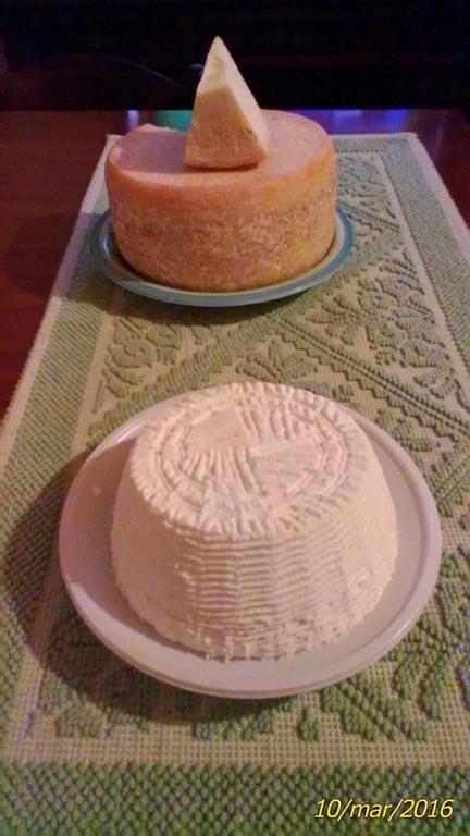 Farm Stay Gli Oleandri Loiri Porto San Paolo エクステリア 写真