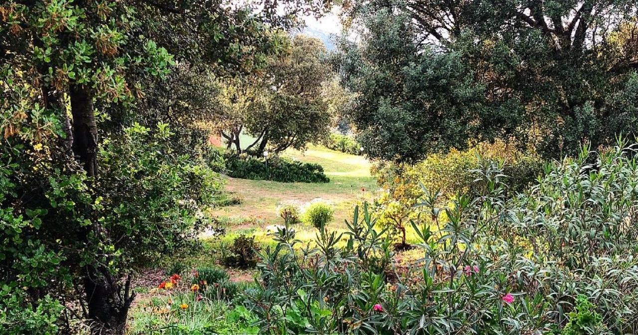 Farm Stay Gli Oleandri Loiri Porto San Paolo エクステリア 写真