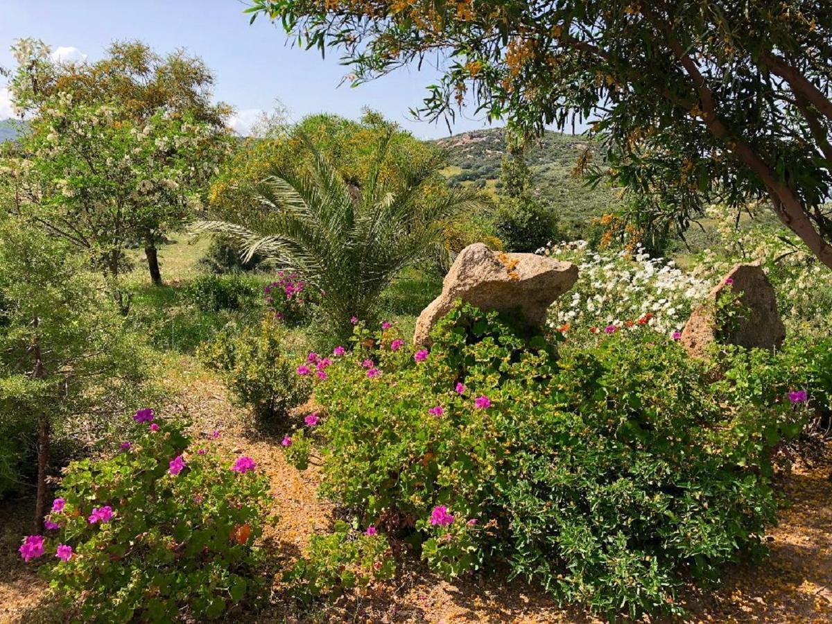 Farm Stay Gli Oleandri Loiri Porto San Paolo エクステリア 写真