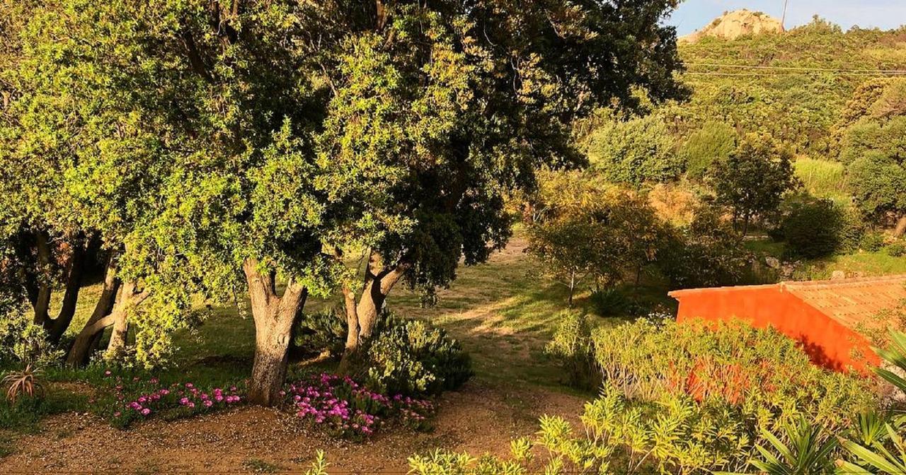 Farm Stay Gli Oleandri Loiri Porto San Paolo エクステリア 写真
