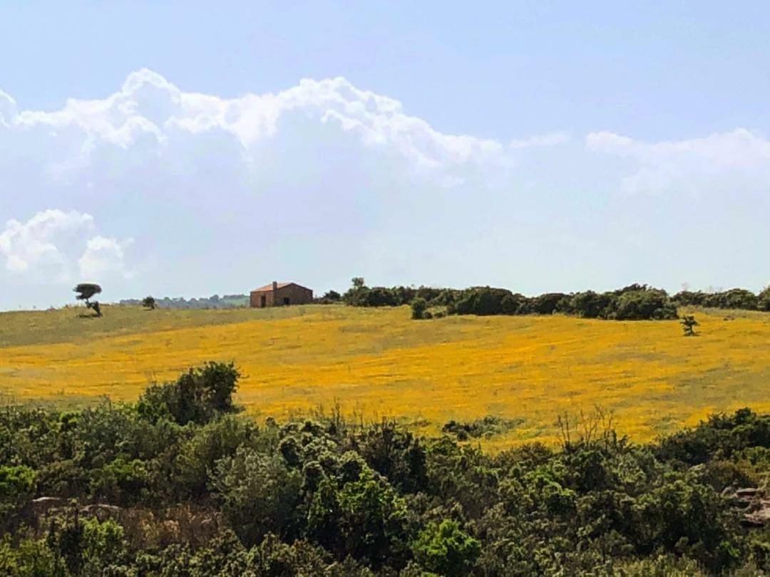 Farm Stay Gli Oleandri Loiri Porto San Paolo エクステリア 写真
